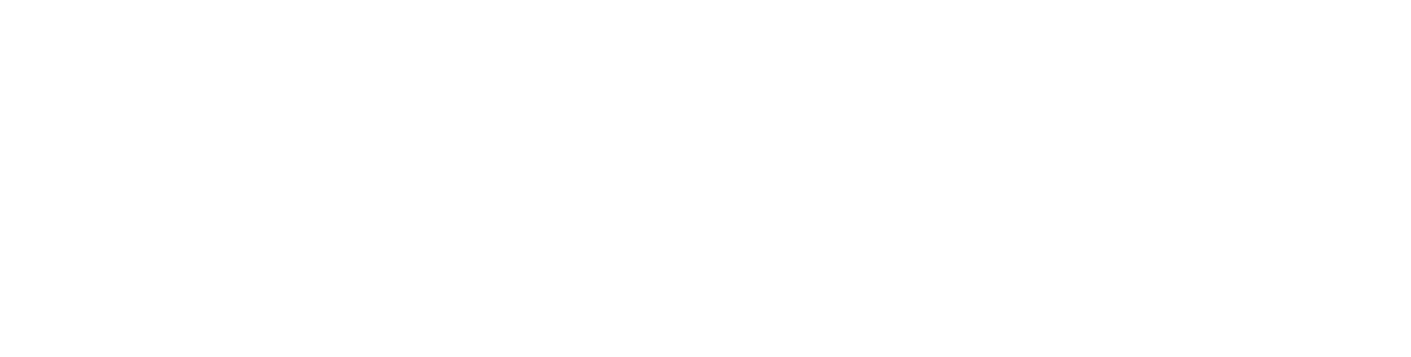 LOGO_Deutsche_Seereederei_rgb_weiss